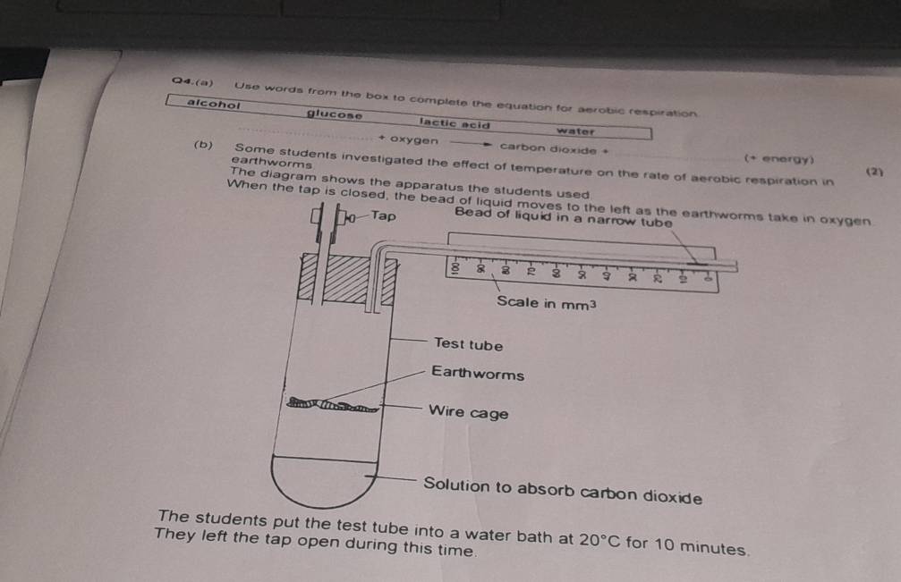 Q4.(a) Use words from the box to complete the equation for aerobic respiration
alcohol glucose lactic acid
water
+ oxygen carbon dioxide + (+ energy)
(b) Some students investigated the effect of temperature on the rate of aerobic respiration in (2)
earthworms
The diagram shows the apparatus the students used
When the tap is closed, the bead of liquid moves to the left as the earthworms take in oxygen
ha Tap Bead of liquid in a narrow tube
8 8 8 2 R
Scale in mm^3
Test tube
Earthworms
Wire cage
Solution to absorb carbon dioxide
The students put the test tube into a water bath at 20°C for 10 minutes.
They left the tap open during this time.