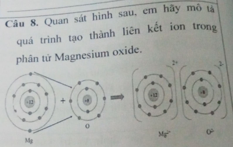 Quan sát hình sau, em hãy mô tả 
quá trình tạo thành liên kết ion trong 
phân tử Magnesium oxide.
2+
+12
÷12 + +8
Mg^(2+)
0^2
Mg