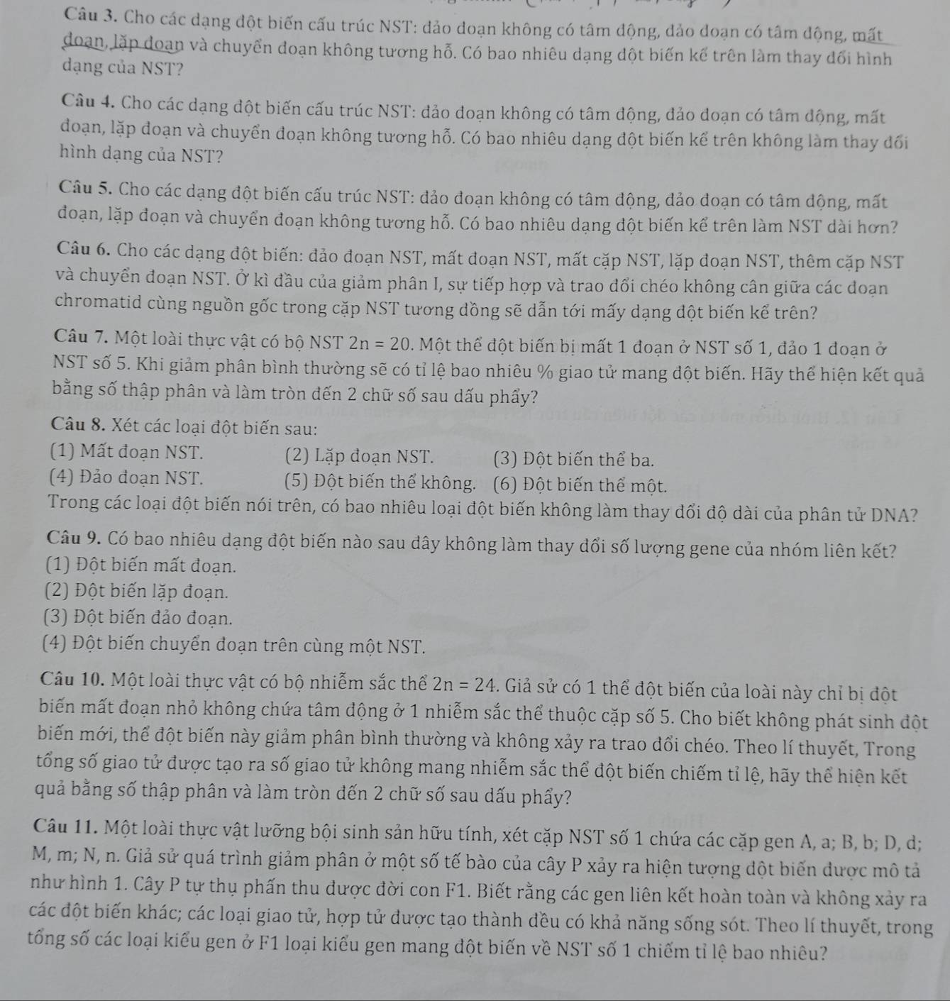 Cho các dạng đột biến cấu trúc NST: đảo doạn không có tâm động, dảo doạn có tâm động, mất
doạn, lặp doạn và chuyển đoạn không tương hỗ. Có bao nhiêu dạng dột biến kế trên làm thay đổi hình
dạng của NST?
Câu 4. Cho các dạng đột biến cấu trúc NST: đảo doạn không có tâm động, đảo doạn có tâm động, mất
đoạn, lặp đoạn và chuyển đoạn không tương hỗ. Có bao nhiêu dạng đột biến kế trên không làm thay đổi
hình dạng của NST?
Câu 5. Cho các dạng đột biến cấu trúc NST: đảo đoạn không có tâm động, đảo doạn có tâm dộng, mất
đoạn, lặp đoạn và chuyển đoạn không tương hỗ. Có bao nhiêu dạng đột biến kể trên làm NST dài hơn?
Câu 6. Cho các dạng đột biến: đảo đoạn NST, mất đoạn NST, mất cặp NST, lặp đoạn NST, thêm cặp NST
và chuyển đoạn NST. Ở kì đầu của giảm phân I, sự tiếp hợp và trao dổi chéo không cân giữa các đoạn
chromatid cùng nguồn gốc trong cặp NST tương dồng sẽ dẫn tới mấy dạng đột biến kể trên?
Câu 7. Một loài thực vật có bộ NST 2n=20. Một thể đột biến bị mất 1 đoạn ở NST số 1, đảo 1 đoạn ở
NST số 5. Khi giảm phân bình thường sẽ có tỉ lệ bao nhiêu % giao tử mang đột biến. Hãy thể hiện kết quả
bằng số thập phân và làm tròn đến 2 chữ số sau dấu phẩy?
Câu 8. Xét các loại đột biến sau:
(1) Mất đoạn NST. (2) Lặp đoạn NST. (3) Đột biến thể ba.
(4) Đảo đoạn NST. (5) Đột biến thể không. (6) Đột biến thể một.
Trong các loại đột biến nói trên, có bao nhiêu loại đột biến không làm thay đổi độ dài của phân tử DNA?
Câu 9. Có bao nhiêu dạng đột biến nào sau dây không làm thay đổi số lượng gene của nhóm liên kết?
(1) Đột biến mất đoạn.
(2) Đột biến lặp đoạn.
(3) Đột biến đảo đoạn.
(4) Đột biến chuyển đoạn trên cùng một NST.
Câu 10. Một loài thực vật có bộ nhiễm sắc thể 2n=24. Giả sử có 1 thể đột biến của loài này chỉ bị đột
biến mất đoạn nhỏ không chứa tâm động ở 1 nhiễm sắc thể thuộc cặp số 5. Cho biết không phát sinh đột
biến mới, thể đột biến này giảm phân bình thường và không xảy ra trao đổi chéo. Theo lí thuyết, Trong
tổng số giao tử được tạo ra số giao tử không mang nhiễm sắc thể đột biến chiếm tỉ lệ, hãy thể hiện kết
quả bằng số thập phân và làm tròn đến 2 chữ số sau dấu phẩy?
Câu 11. Một loài thực vật lưỡng bội sinh sản hữu tính, xét cặp NST số 1 chứa các cặp gen A, a; B, b; D, d;
M, m; N, n. Giả sử quá trình giảm phân ở một số tế bào của cây P xảy ra hiện tượng đột biến được mô tả
như hình 1. Cây P tự thụ phấn thu được đời con F1. Biết rằng các gen liên kết hoàn toàn và không xảy ra
các đột biến khác; các loại giao tử, hợp tử được tạo thành đều có khả năng sống sót. Theo lí thuyết, trong
tổng số các loại kiểu gen ở F1 loại kiểu gen mang đột biến về NST số 1 chiếm tỉ lệ bao nhiêu?