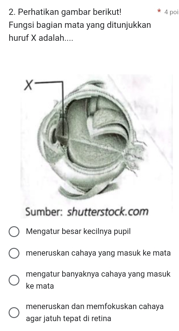 Perhatikan gambar berikut! 4 poi
Fungsi bagian mata yang ditunjukkan
huruf X adalah....
Sumber: shutterstock.com
Mengatur besar kecilnya pupil
meneruskan cahaya yang masuk ke mata
mengatur banyaknya cahaya yang masuk
ke mata
meneruskan dan memfokuskan cahaya
agar jatuh tepat di retina