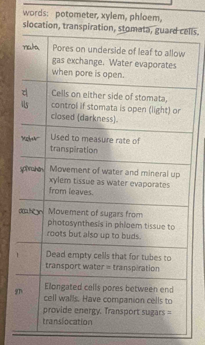 words: potometer, xylem, phloem, 
slocation,lls. 
g