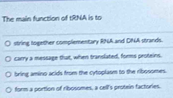 The main function of tRNA is to
string together complementary RNA and DNA strands.
carry a message that, when translated, forms proteins.
bring amino scids from the cytoplasm to the ribosomes.
form a portion of ribosomes, a cell's protein factories.