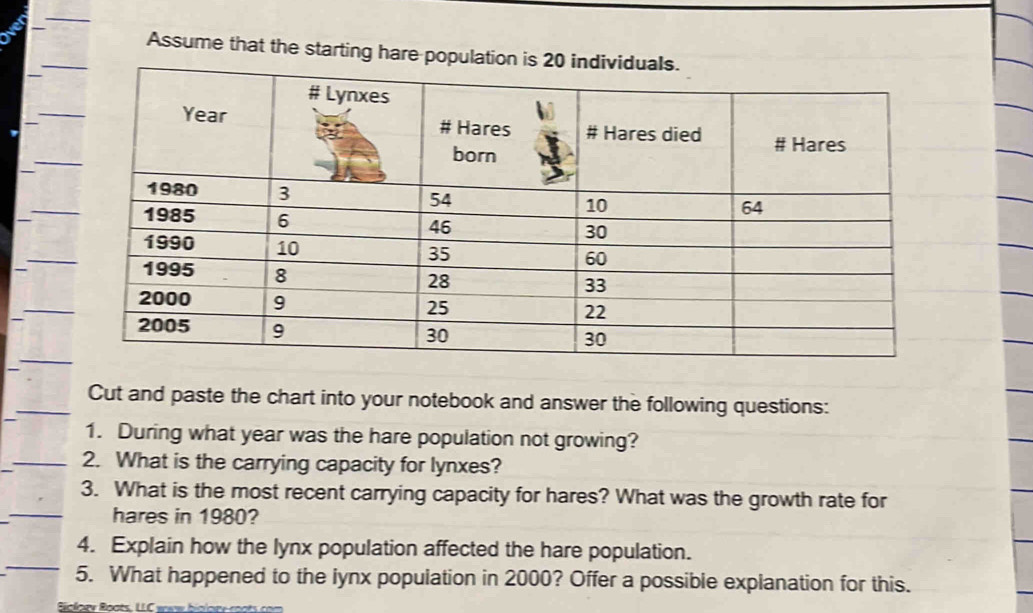 Assume that the starting hare populatio 
Cut and paste the chart into your notebook and answer the following questions: 
1. During what year was the hare population not growing? 
2. What is the carrying capacity for lynxes? 
3. What is the most recent carrying capacity for hares? What was the growth rate for 
hares in 1980? 
4. Explain how the lynx population affected the hare population. 
5. What happened to the lynx population in 2000? Offer a possible explanation for this. 
Bioloey Roots, LLC ww biology roots con