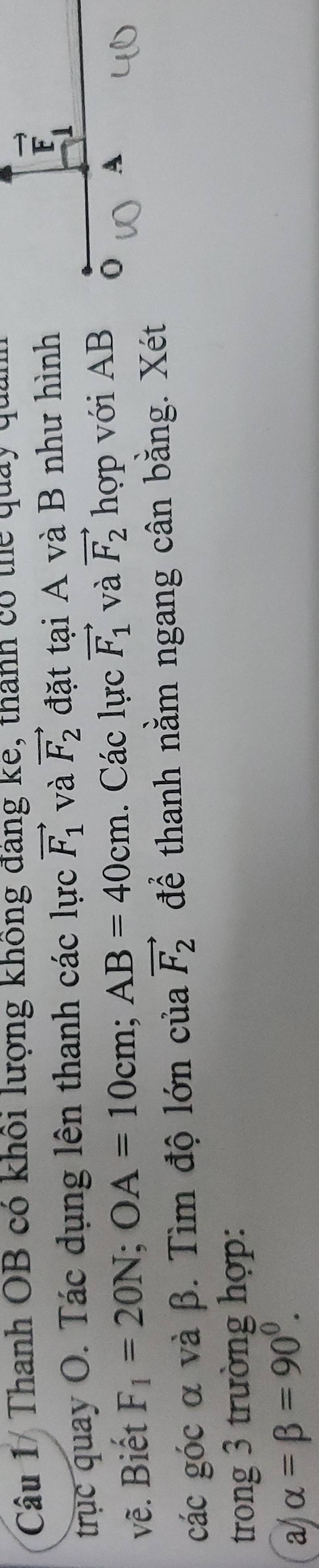 Thanh OB có khổi lượng không đáng ke, thành có thể quảy quản 
trục quay O. Tác dụng lên thanh các lực vector F_1 và vector F_2 đặt tại A và B như hình
vector E_1
vẽ. Biết F_1=20N; OA=10cm; AB=40cm. Các lực vector F_1 và vector F_2 hợp với AB 0 A 
các góc α và β. Tìm độ lớn của vector F_2 để thanh nằm ngang cân bằng. Xét 
trong 3 trường hợp: 
a/ alpha =beta =90°.