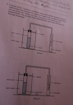 A group of Gr. 7 learners wanced to show that carcon diswide is usel 
musne bread nos because te yeast and suov that is added to te breas 
n la produces the carbon dmride. They set up the folloo 
through tnwwater. experments. The cas that they colletted frowa a 
une l 
n et