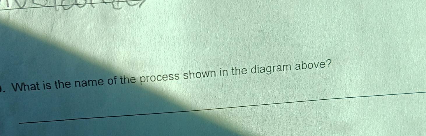 What is the name of the process shown in the diagram above?