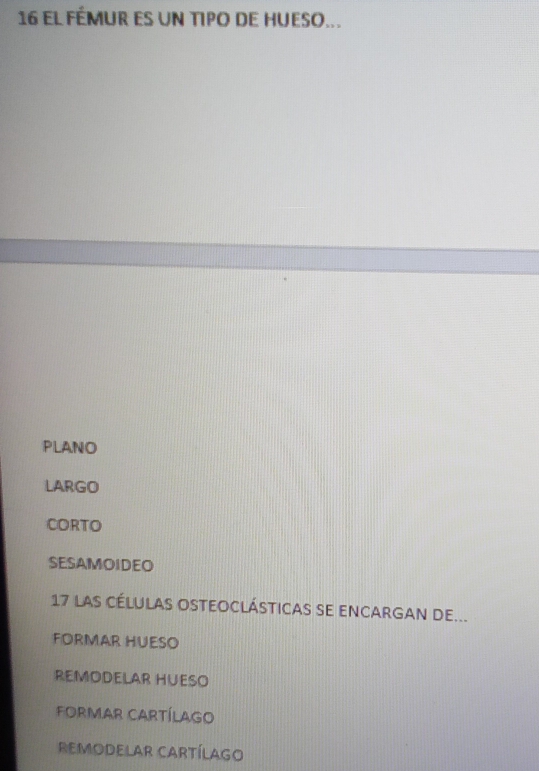 el fÉmur es un tIPo de hueso...
PLANO
LARGO
CORTO
SESAMOIDEO
17 las células osteoclásticas se encargan de...
FORMAR HUESO
REMODELAR HUESO
FORMAR CARTÍLAGO
ReMODELAR CARtíLAGO