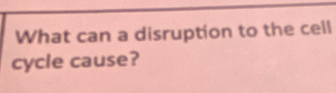 What can a disruption to the cell 
cycle cause?