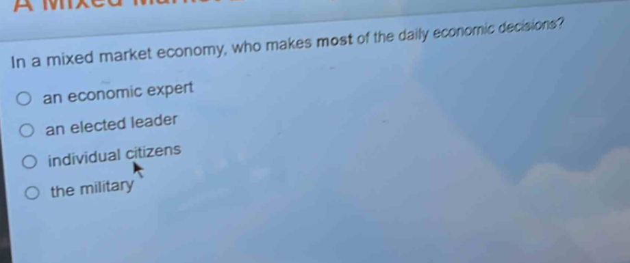 In a mixed market economy, who makes most of the daily economic decisions?
an economic expert
an elected leader
individual citizens
the military