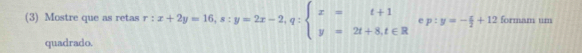 (3) Mostre que as retas r:x+2y=16, s:y=2x-2, q:beginarrayl x=t+1 y=2t+8,t∈ Rendarray. e p:y=- x/2 +12 formam um
quadrado.