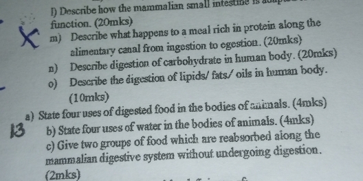 Describe how the mammalian small intestine is al 
function. (20mks) 
m) Describe what happens to a meal rich in protein along the 
alimentary canal from ingestion to egestion. (20mks) 
n) Describe digestion of carbohydrate in human body. (20mks) 
o) Describe the digestion of lipids/ fats/ oils in human body. 
(10mks) 
a) State four uses of digested food in the bodies of animals. (4mks) 
b) State four uses of water in the bodies of animals. (4mks) 
c) Give two groups of food which are reabsorbed along the 
mammalian digestive system without undergoing digestion. 
(2mks)