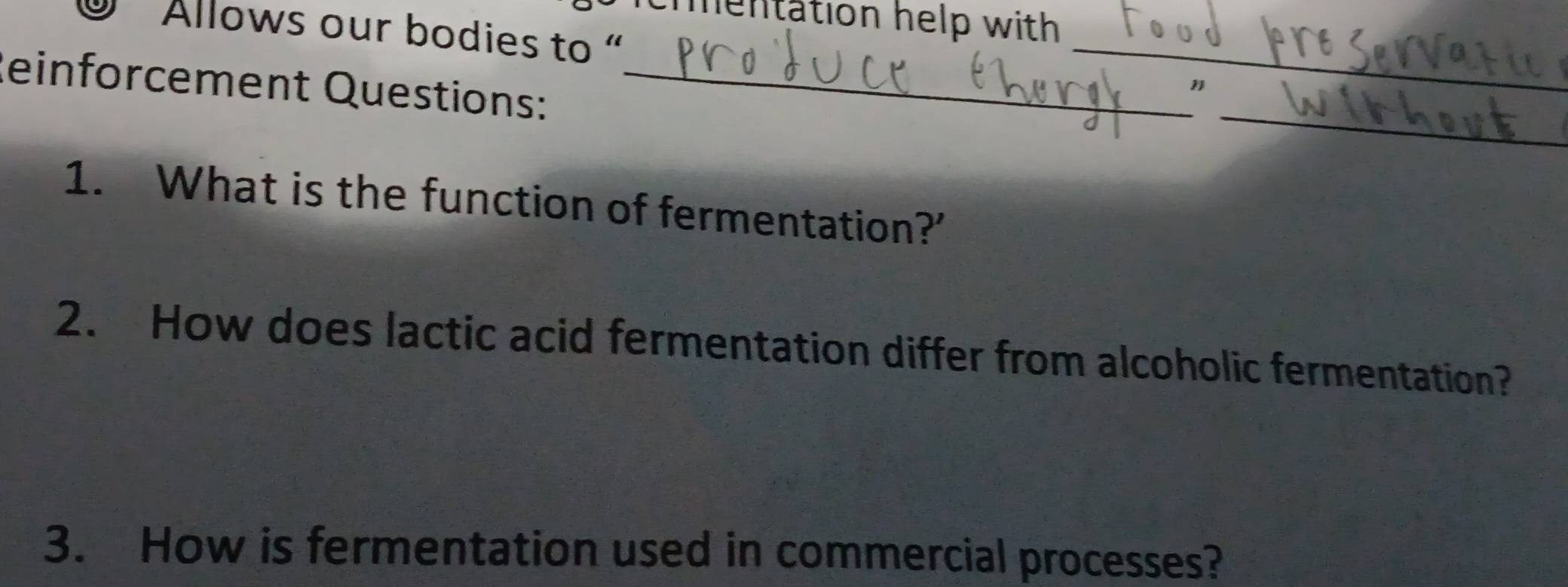 entation help with 
Allows our bodies to “ 
_ 
Reinforcement Questions:_ 
_ 
1. What is the function of fermentation?' 
2. How does lactic acid fermentation differ from alcoholic fermentation? 
3. How is fermentation used in commercial processes?