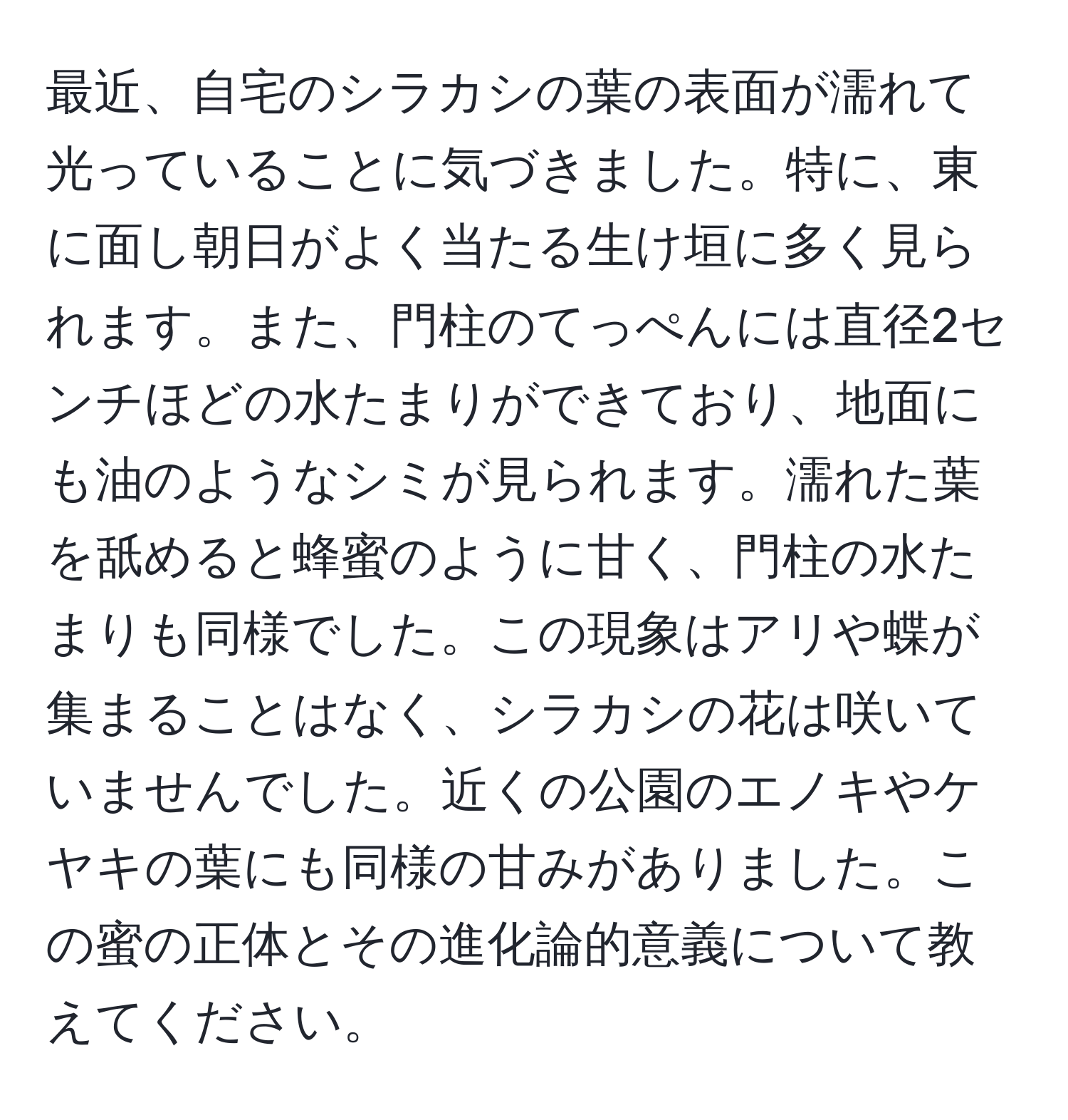 最近、自宅のシラカシの葉の表面が濡れて光っていることに気づきました。特に、東に面し朝日がよく当たる生け垣に多く見られます。また、門柱のてっぺんには直径2センチほどの水たまりができており、地面にも油のようなシミが見られます。濡れた葉を舐めると蜂蜜のように甘く、門柱の水たまりも同様でした。この現象はアリや蝶が集まることはなく、シラカシの花は咲いていませんでした。近くの公園のエノキやケヤキの葉にも同様の甘みがありました。この蜜の正体とその進化論的意義について教えてください。