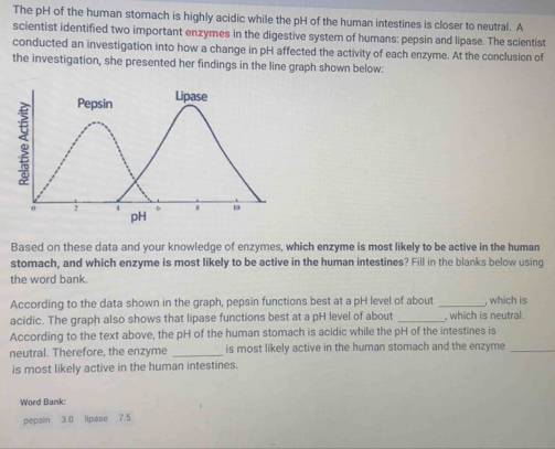 The pH of the human stomach is highly acidic while the pH of the human intestines is closer to neutral. A 
scientist identified two important enzymes in the digestive system of humans: pepsin and lipase. The scientist 
conducted an investigation into how a change in pH affected the activity of each enzyme. At the conclusion of 
the investigation, she presented her findings in the line graph shown below: 
Based on these data and your knowledge of enzymes, which enzyme is most likely to be active in the human 
stomach, and which enzyme is most likely to be active in the human intestines? Fill in the blanks below using 
the word bank. 
According to the data shown in the graph, pepsin functions best at a pH level of about _, which is 
acidic. The graph also shows that lipase functions best at a pH level of about _, which is neutral. 
According to the text above, the pH of the human stomach is acidic while the pH of the intestines is 
neutral. Therefore, the enzyme _is most likely active in the human stomach and the enzyme_ 
is most likely active in the human intestines. 
Word Bank: 
pepsin 3.0 lipase 7.5