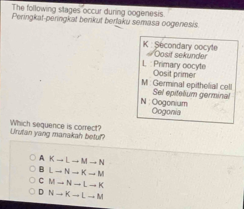 The following stages occur during oogenesis.
Peringkat-peringkat berikut berlaku semasa oogenesis.
K : Secondary oocyte
Oosit sekunder
L : Primary oocyte
Oosit primer
M : Germinal epithelial cell
Sel epitelium germinal
N : Oogonium
Oogonia
Which sequence is correct?
Urutan yang manakah betul?
AKto Lto Mto N
BLto Nto Kto M
CMto Nto Lto K
D Nto Kto Lto M