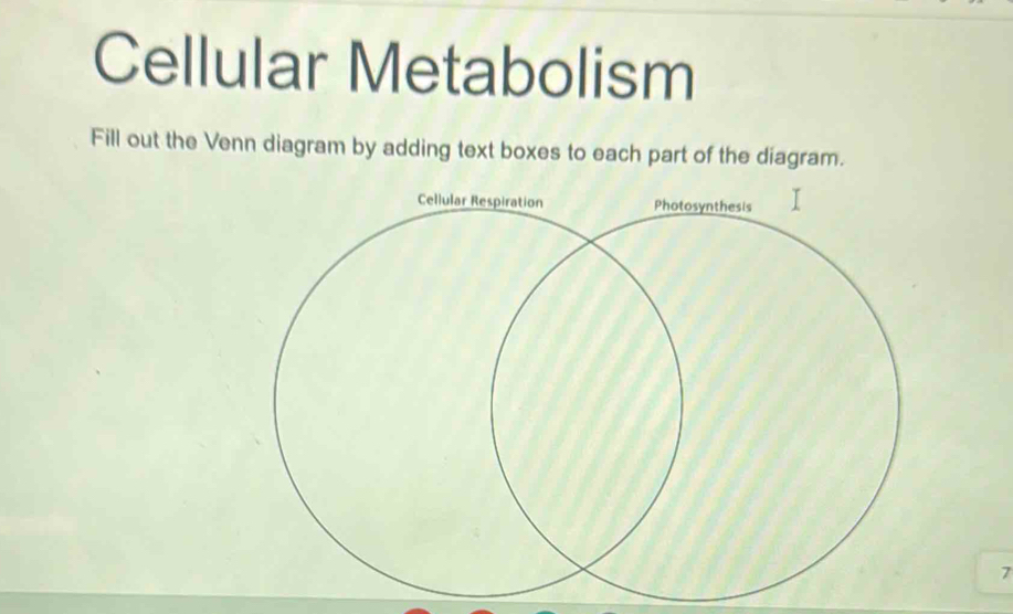 Cellular Metabolism 
Fill out the Venn diagram by adding text boxes to each part of the diagram. 
7