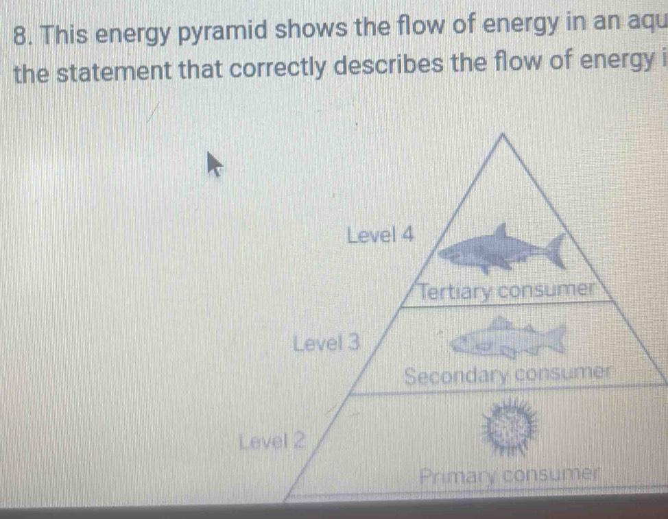 This energy pyramid shows the flow of energy in an aqu 
the statement that correctly describes the flow of energy i