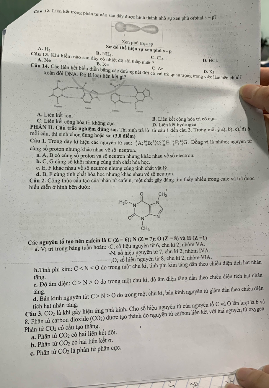 Liên kết trong phân tử nào sau đây được hình thành nhờ sự xen phủ orbital s-p ?
A. H_2.
Sơ đồ thể hiện sự xen phủ s - p
B. NH_3.
C. Cl_2.
Câu 13. Khí hiếm nào sau đây có nhiệt độ sôi thấp nhất ?
D. HCl.
A. Ne B. Xe
Ç. Ar D. Kr
Câu 14. Các liên kết biểu diễn bằng các đường nét đứt có vai trò quan trọng trong việc làm bền chuỗi
xoắn đôi DNA. Đó là loại liên kết gì?
.
B. Liên kết cộng hóa trị có cực.
C. Liên kết cộng hóa trị không cực. D. Liên kết hydrogen
PHÀN II. Câu trắc nghiệm đúng sai. Thí sinh trả lời từ câu 1 đến câu 3. Trong mỗi (a). , b), c), d) ở
mỗi câu, thí sinh chọn đúng hoặc sai (3,0 điểm)
Câu 1. Trong dãy kí hiệu các nguyên tử sau: _7^((14)A;_8^(16)B;_7^(15)C;_(26)^(56)E;_8^(17)F;_6^(15)G Đồng vị là những nguyên từ
cùng số proton nhưng khác nhau về số neutron.
a. A, B có cùng số proton và số neutron nhưng khác nhau về số electron.
b. C, G cùng số khối nhưng cùng tính chất hóa học.
c. E, F khác nhau về số neutron nhưng cùng tính chất vật lý.
d. B, F cùng tính chất hóa học nhưng khác nhau về số neutron.
Câu 2. Công thức cấu tạo của phân tử cafein, một chất gây đắng tìm thấy nhiều trong cafe và trà được
biểu diễn ở hình bên dưới:
Các nguyên tố tạo nên cafein là C(Z=6);N(Z=7);O(Z=8) và H(Z=1)
a. Vị trí trong bảng tuần hoàn: _6)C , số liệu nguyên tử 6, chu kì 2, nhóm VA.
7N, số hiệu nguyên tử 7, chu kì 2, nhóm IVA.
O, số hiệu nguyên tử 8, chu kì 2, nhóm VIA.
b.Tính phi kim: C do trong một chu kì, tính phi kim tăng dần theo chiều điện tích hạt nhân
tǎng.
c. Độ âm điện: C>N>O do trong một chu kì, độ âm điện tăng dần theo chiều điện tích hạt nhân
tǎng.
d. Bán kính nguyên tử: C>N>O do trong một chu kì, bán kính nguyên tử giảm dần theo chiều điện
tích hạt nhân tăng.
Câu 3. CO_2 là khí gây hiệu ứng nhà kính. Cho số hiệu nguyên tử của nguyên tố C và O lần lượt là 6 và
8. Phân tử carbon dioxide (CO_2) được tạo thành do nguyên tử carbon liên kết với hai nguyên tử oxygen.
Phân tử CO_2 có cấu tạo thắng.
a. Phân tử CO_2 có hai liên kết đôi.
b. Phân tử CO_2 có hai liên kết σ.
c. Phân tử CO_2 là phân tử phân cực.