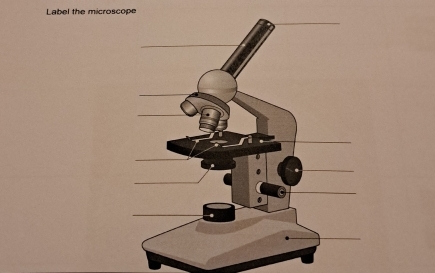 Label the microscope