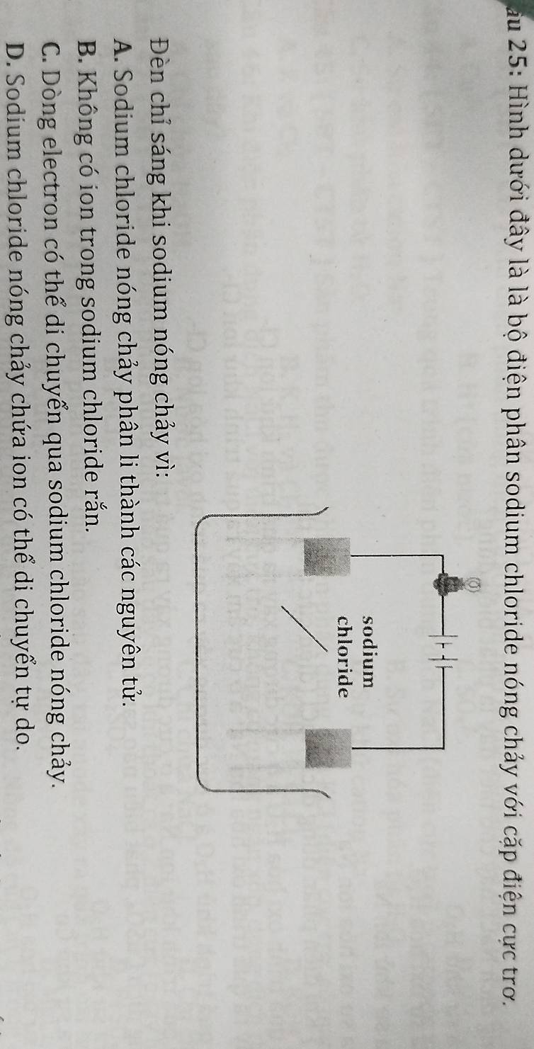 au 25: Hình dưới đây là là bộ điện phân sodium chloride nóng chảy với cặp điện cực trơ.
Đèn chỉ sáng khi sodium nóng chảy vì:
A. Sodium chloride nóng chảy phân li thành các nguyên tử.
B. Không có ion trong sodium chloride rắn.
C. Dòng electron có thể di chuyển qua sodium chloride nóng chảy.
D. Sodium chloride nóng chảy chứa ion có thể di chuyển tự do.