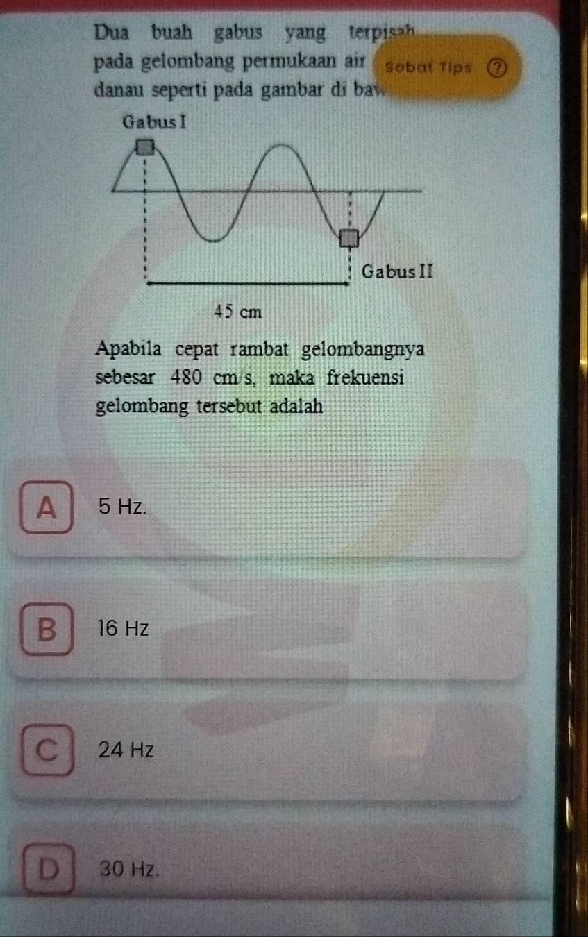 Dua buah gabus yang teisa 
pada gelombang permukaan air Sobat Tips
danau seperti pada gambar di ba 
Apabila cepat rambat gelombangnya
sebesar 480 cm s, maka frekuensi
gelombang tersebut adalah
A 5 Hz.
B 16 Hz
C 24 Hz
D 30 Hz.