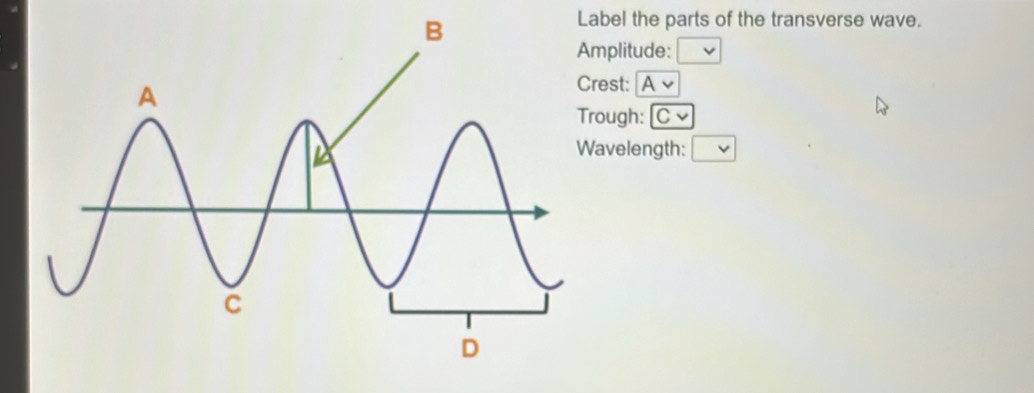 Label the parts of the transverse wave. 
plitude: □ 
est: Avee
ough: |Cv 
velength: □