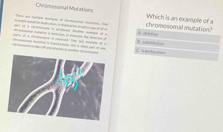 Solved: Chromosomal Mutations Which is an example of a There are ...