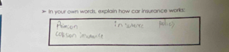 > In your own words, explain how car insurance works: