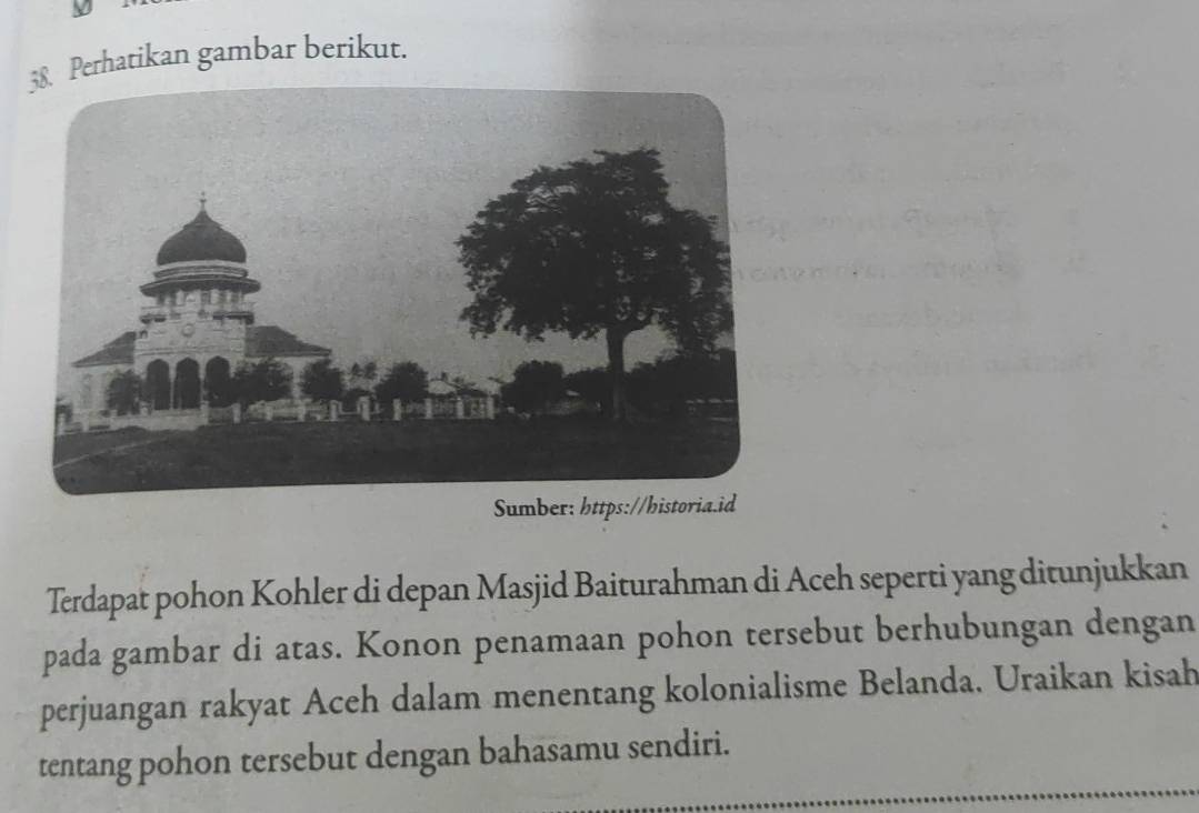 Perhatikan gambar berikut. 
Terdapat pohon Kohler di depan Masjid Baiturahman di Aceh seperti yang ditunjukkan 
pada gambar di atas. Konon penamaan pohon tersebut berhubungan dengan 
perjuangan rakyat Aceh dalam menentang kolonialisme Belanda. Uraikan kisah 
tentang pohon tersebut dengan bahasamu sendiri.