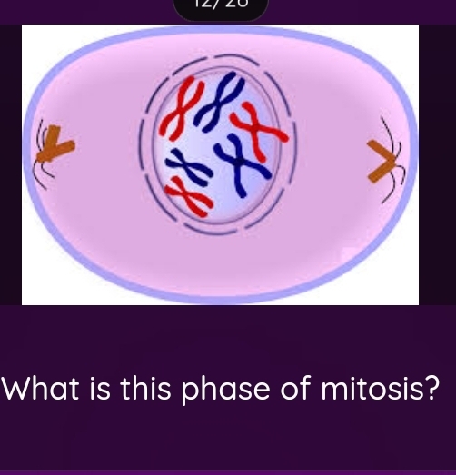 What is this phase of mitosis?