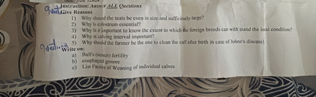 Instruction: Answer ALL Questions 
e Give Reasons 
1) Why should the teats be even in size and sufficiently large? 
2) Why is colostrum essential? 
3) Why is it important to know the extent to which the foreign breeds can with stand the local conditions? 
4) Why is calving interval important? 
5) Why should the farmer be the one to clean the calf after birth in case of Johne's disease). 
P * Write on: 
a) Bull's (semen) fertility 
b) csophageal groove 
c) List Factrs of Weaning of individual calves