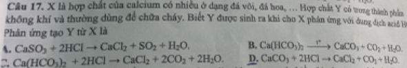 là hợp chất của calcium có nhiều ở dạng đá vôi, đá hoa. ... Hợp chất Y có trong thành phầm
không khí và thường dùng để chữa cháy. Biết Y được sinh ra khi cho X phân ứng với dung ịch acid H
Phân ứng tạo Y từ X là
A. CaSO_3+2HClto CaCl_2+SO_2+H_2O. B. Ca(HCO_3)_2xrightarrow rCaCO_3+CO_2+H_2O.
Ca(HCO_3)_2+2HClto CaCl_2+2CO_2+2H_2O. D. CaCO_3+2HClto CaCl_2+CO_2+H_2O.