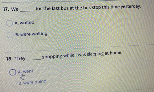 We _for the last bus at the bus stop this time yesterday.
A. waited
B. were waiting
18. They _shopping while I was sleeping at home.
A. went
B. were going