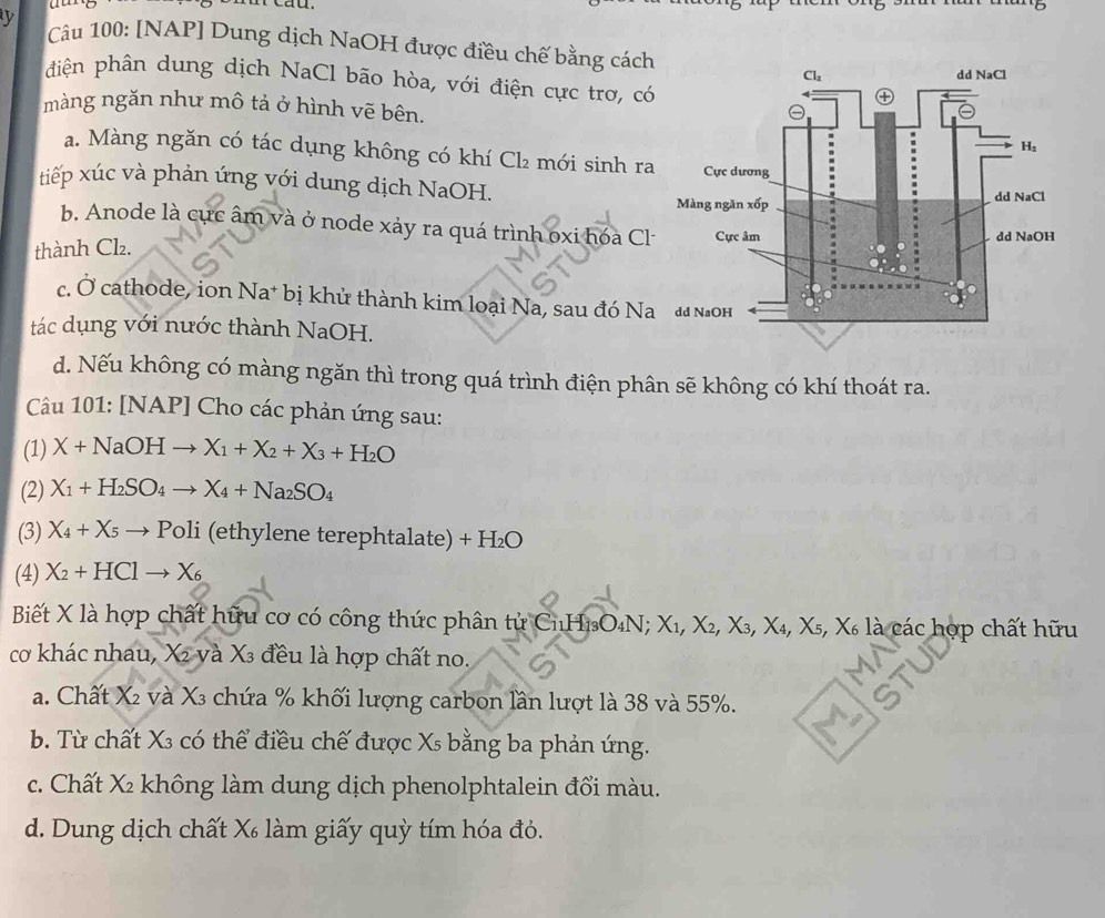 or
y  Câu 100: [NAP] Dung dịch NaOH được điều chế bằng cách
điện phân dung dịch NaCl bão hòa, với điện cực trơ, có
màng ngăn như mô tả ở hình vẽ bên.
a. Màng ngăn có tác dụng không có khí Cl₂ mới sinh ra
tiếp xúc và phản ứng với dung dịch NaOH.
b. Anode là cực âm và ở node xảy ra quá trình oxi hóa Cl
thành Cl₂.
c. Ở cathode, ion Na* bị khử thành kim loại Na, sau đó Na
tác dụng với nước thành NaOH.
d. Nếu không có màng ngăn thì trong quá trình điện phân sẽ không có khí thoát ra.
Câu 101: [NAP] Cho các phản ứng sau:
(1) X+NaOHto X_1+X_2+X_3+H_2O
(2) X_1+H_2SO_4to X_4+Na_2SO_4
(3) X_4+X_5to Poli (ethylene terephtalate) + H_2O
(4) X_2+HClto X_6
Biết X là hợp chất hữu cơ có công thức phân tử Cu H_13O_4N;X_1,X_2,X_3,X_4,X_5,X_6 X là các hợp chất hữu
cơ khác nhau, X² và X3 đều là hợp chất no.
a. Chất X_2 2 và X3 chứa % khối lượng carbon lần lượt là 38 và 55%.
b. Từ chất X₃ có thể điều chế được Xs bằng ba phản ứng.
c. Chất X₂ không làm dung dịch phenolphtalein đổi màu.
d. Dung dịch chất X làm giấy quỳ tím hóa đỏ.