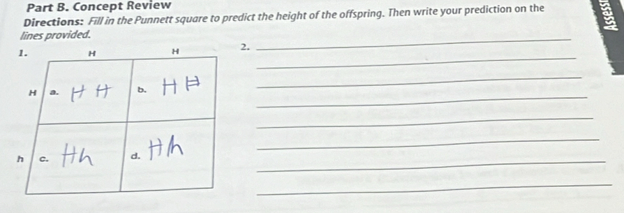 Concept Review 
Directions: Fill in the Punnett square to predict the height of the offspring. Then write your prediction on the a 
lines provided. 
_ 
_ 
2. 
_ 
_ 
_ 
_ 
_ 
_