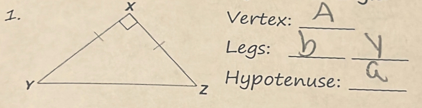 Vertex: 
_ 
Legs:_ 
_ 
Hypotenuse:_