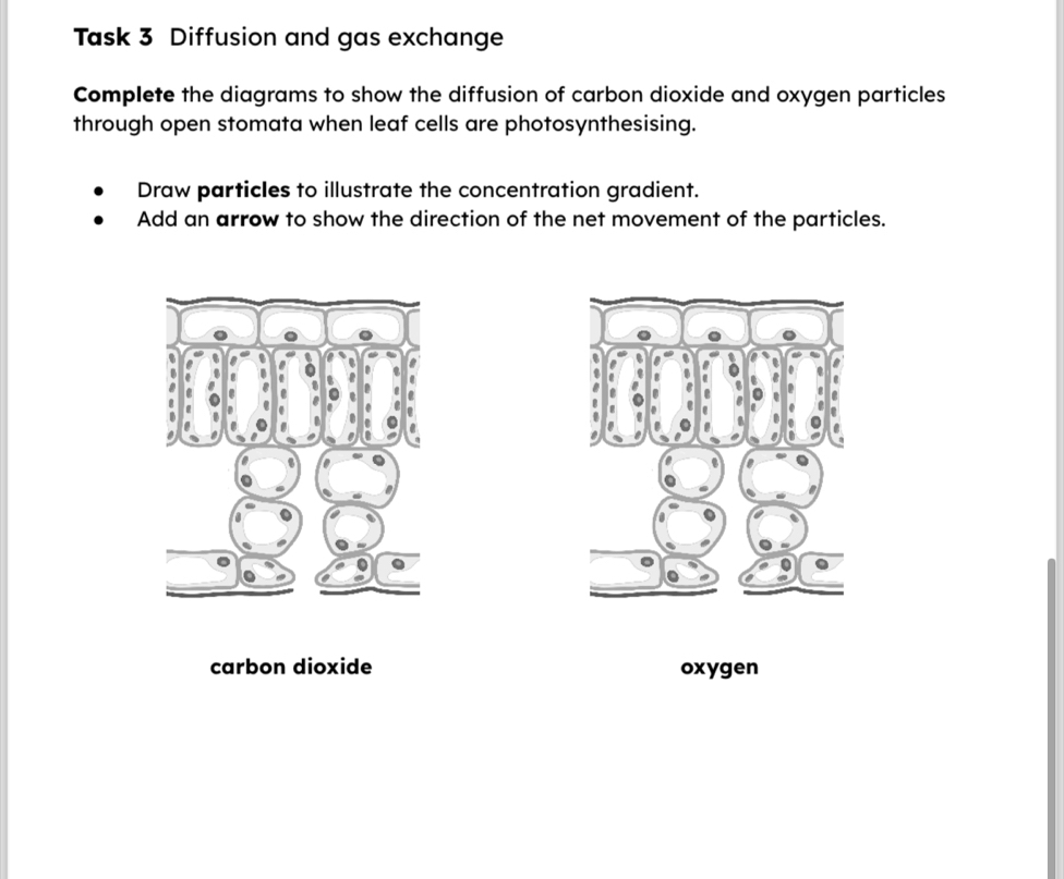 Task 3 Diffusion and gas exchange 
Complete the diagrams to show the diffusion of carbon dioxide and oxygen particles 
through open stomata when leaf cells are photosynthesising. 
Draw particles to illustrate the concentration gradient. 
Add an arrow to show the direction of the net movement of the particles. 
carbon dioxide oxygen