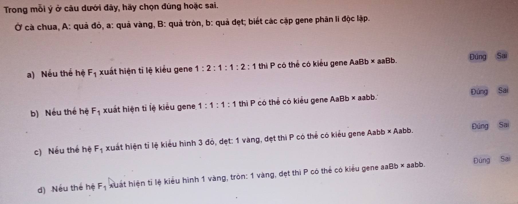 Trong mỗi ý ở câu dưới đây, hãy chọn đúng hoặc sai.
Ở cà chua, A: quả đỏ, a: quả vàng, B: quả tròn, b: quả dẹt; biết các cặp gene phân li độc lập.
a) Nếu thế hệ F_1 xuất hiện tỉ lệ kiểu gene 1:2:1:1:2:1 thì P có thể có kiểu gene AaBb × aaBb. Đúng Sai
b) Nếu thế hệ F_1 xuất hiện tỉ lệ kiểu gene 1:1:1:1 thì P có thể có kiểu gene AaBb × aabb. Đúng Sai
c) Nếu thế hệ F_1 xuất hiện tỉ lệ kiểu hình 3 đỏ, dẹt: 1 vàng, dẹt thì P có thể có kiểu gene Aabb × Aabb. Đúng Sai
d) Nếu thế hệ F_1 xuất hiện tỉ lệ kiểu hình 1 vàng, tròn: 1 vàng, dẹt thì P có thể có kiểu gene aaBb × aabb. Đúng Sai