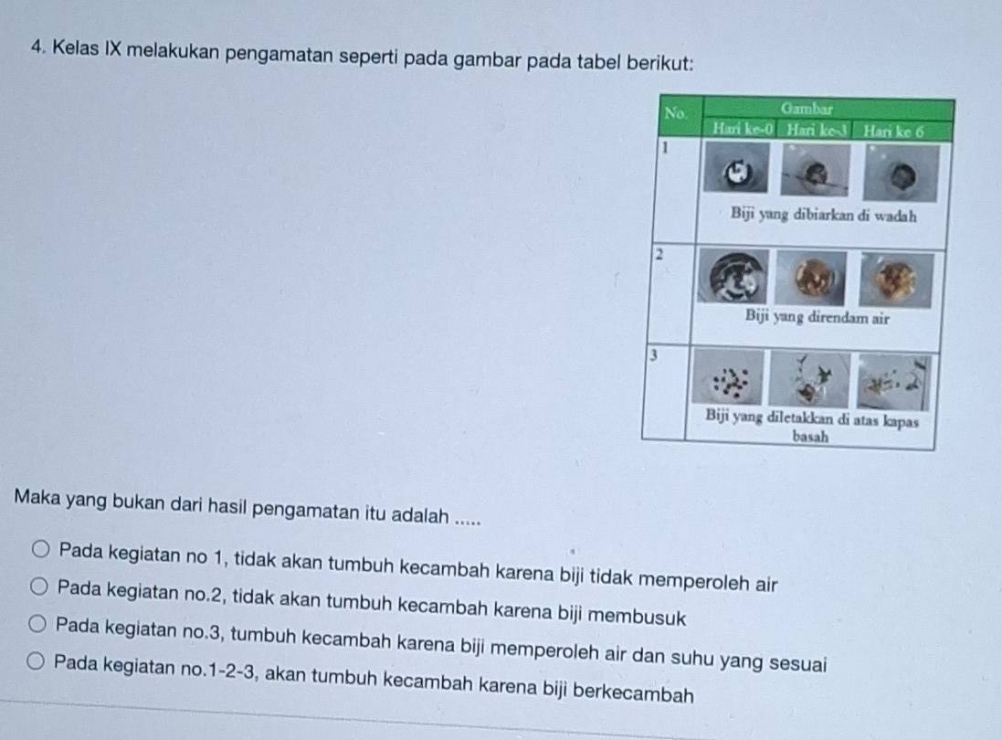 Kelas IX melakukan pengamatan seperti pada gambar pada tabel berikut:
Maka yang bukan dari hasil pengamatan itu adalah .....
Pada kegiatan no 1, tidak akan tumbuh kecambah karena biji tidak memperoleh air
Pada kegiatan no. 2, tidak akan tumbuh kecambah karena biji membusuk
Pada kegiatan no. 3, tumbuh kecambah karena biji memperoleh air dan suhu yang sesuai
Pada kegiatan no. 1 - 2 - 3, akan tumbuh kecambah karena biji berkecambah