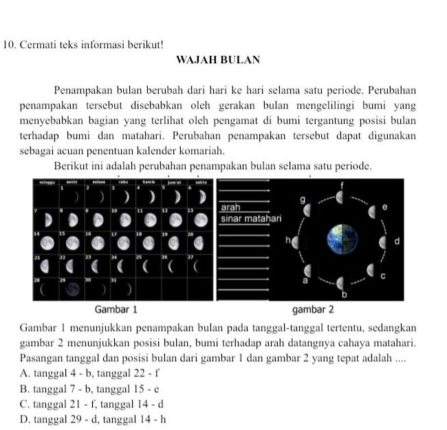 Cermati teks informasi berikut!
WAJAH BULAN
Penampakan bulan berubah dari hari ke hari selama satu periode. Perubahan
penampakan tersebut disebabkan oleh gerakan bulan mengelilingi bumi yang
menyebabkan bagian yang terlihat oleh pengamat di bumi tergantung posisi bulan
terhadap bumi dan matahari. Perubahan penampakan tersebut dapat digunakan
sebagai acuan penentuan kalender komariah.
Berikut ini adalah perubahan penampakan bulan selama satu periode.
Gambar 1 gambar 2
Gambar 1 menunjukkan penampakan bulan pada tanggal-tanggal tertentu, sedangkan
gambar 2 menunjukkan posisi bulan, bumi terhadap arah datangnya cahaya matahari.
Pasangan tanggal dan posisi bulan dari gambar 1 dan gambar 2 yang tepat adalah ....
A. tanggal 4-b , tanggal 22-f
B. tanggal 7-b , tanggal 15-e
C. tanggal 21-f ,tanggal 14-d
D. tanggal 29-d , tanggal 14-h