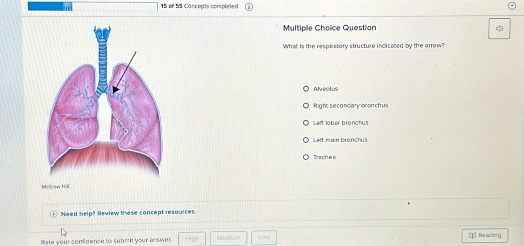 of 55 Concepts completed
Multiple Choice Question
What is the respiratory structure indicated by the arrow?
Alveolus
Right secondary bronchus
Left lobar bronchus
Left main bronchus
Trachea
McGraw Hill
Need help? Review these concept resources.
I
Rate your confidence to submit your answer. High Medium Low Reading