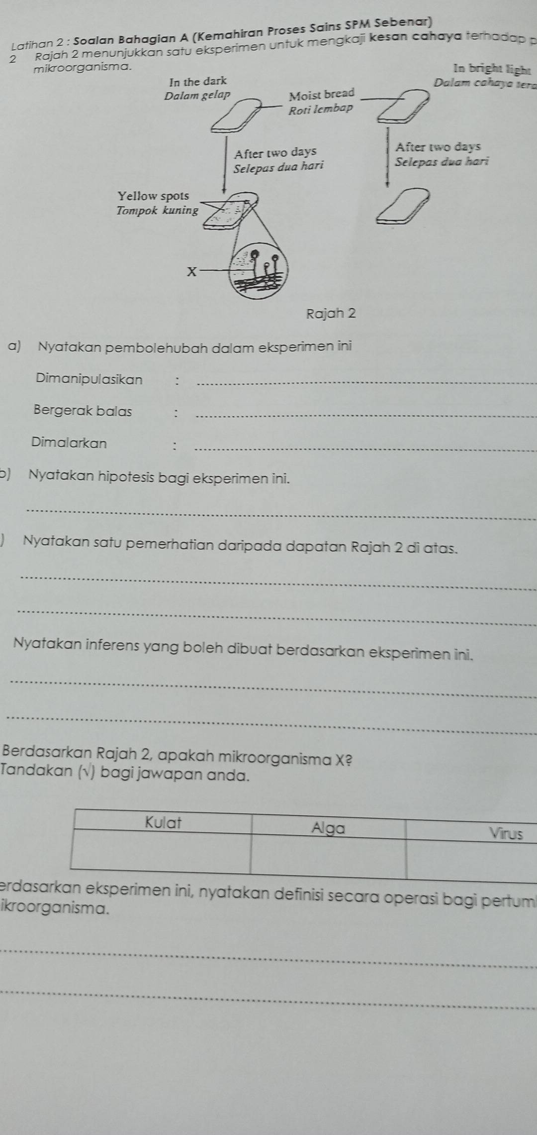 Latihan 2 : Soalan Bahagian A (Kemahiran Proses Sains SPM Sebenar) 
2 Rajah 2 menunjukkan satu eksperimen untuk mengkaji kesan cahaya terhadap p 
mikroorgIn bright light 
Dalam cahaya tera 
a) Nyatakan pembolehubah dalam eksperimen ini 
Dimanipulasikan ∴_ 
Bergerak balas :_ 
Dimalarkan 
: 
_ 
b) Nyatakan hipotesis bagi eksperimen ini. 
_ 
Nyatakan satu pemerhatian daripada dapatan Rajah 2 di atas. 
_ 
_ 
Nyatakan inferens yang boleh dibuat berdasarkan eksperimen ini. 
_ 
_ 
Berdasarkan Rajah 2, apakah mikroorganisma X? 
Tandakan (√) bagi jawapan anda. 
erdaerimen ini, nyatakan definisi secara operasi bagi pertum 
ikroorganisma. 
_ 
_