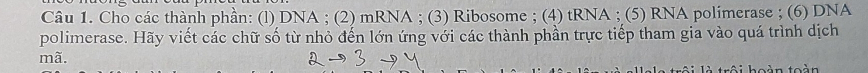 Cho các thành phần: (l) DNA ; (2) mRNA ; (3) Ribosome ; (4) tRNA ; (5) RNA polimerase ; (6) DNA 
polimerase. Hãy viết các chữ số từ nhỏ đến lớn ứng với các thành phần trực tiếp tham gia vào quá trình dịch 
mã. 
S i h oà n to àn