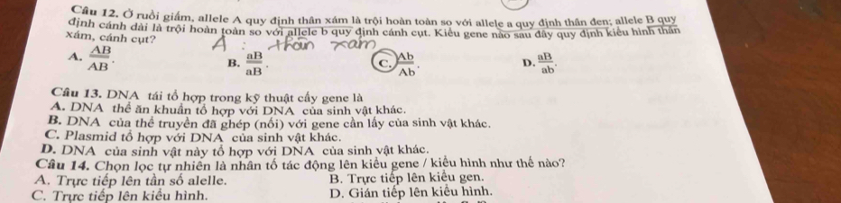 Câu 12, Ở ruồi giám, allele A quy định thân xám là trội hoàn toàn sọ với allele a quy định thân đen; allele B quy
định cánh dài là trội hoàn toàn so với allele b quy định cánh cụt. Kiểu gene nào sau đây quy định kiểu hình thần
xám, cánh cụt?
A.  AB/AB .  aB/aB .  Ab/Ab .  aB/ab . 
B.
C.
D.
Câu 13. DNA tái tổ hợp trong kỹ thuật cấy gene là
A. DNA thể ăn khuẩn tổ hợp với DNA của sinh vật khác.
B. DNA của thể truyền đã ghép (nối) với gene cần lấy của sinh vật khác.
C. Plasmid tổ hợp với DNA của sinh vật khác.
D. DNA của sinh vật này tổ hợp với DNA của sinh vật khác.
Câu 14. Chọn lọc tự nhiên là nhân tố tác động lên kiểu gene / kiêu hình như thế nào?
A. Trực tiếp lên tần số alelle. B. Trực tiếp lên kiểu gen.
C. Trực tiếp lên kiểu hình. D. Gián tiếp lên kiểu hình.