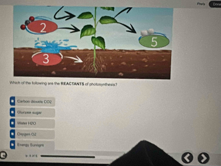 Prefs Done
Which of the following are the REACTANTS of photosynthesis?
Carbón dioxide CO2
Glucose sugar
Water H2O
O Oxygen O2
Energy Sunlight
p. à or a