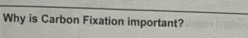 Why is Carbon Fixation important?