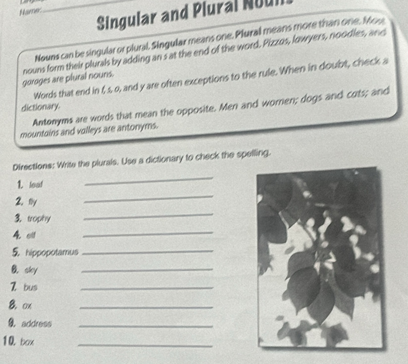 ae_ 
Name 
Singular and Plural Noul 
Nouns can be singular or plural, Singular means one. Plural means more than one, Mos 
nouns form their plurals by adding an s at the end of the word. Pizzos, lowyers, noodles, and 
Words that end in f, s. o, and y are often exceptions to the rule. When in doubt, check a 
goroges are plural nouns. 
Antonyms are words that mean the opposite. Men and woren; dogs and cots; and 
dictionary. 
mountains and valleys are antonyms. 
_ 
Directions: Write the plurals. Use a dictionary to check the spelling. 
_ 
1. leat 
2. lly 
3. trophy 
_ 
4. ell 
_ 
5 hippopotamus 
_ 
B. sky 
_ 
Z bus 
_ 
8. ox 
_ 
9. address_ 
10 box 
_