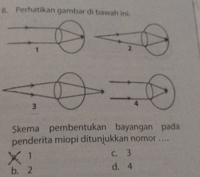 Perhatikan gambar di bawah ini.
1
4
Skema pembentukan bayangan pada
penderita miopi ditunjukkan nomor ....
1
c. 3
b. 2
d. 4