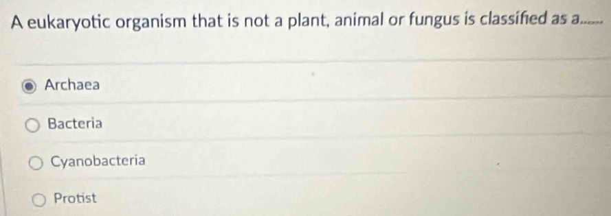 A eukaryotic organism that is not a plant, animal or fungus is classifed as a.......
Archaea
Bacteria
Cyanobacteria
Protist