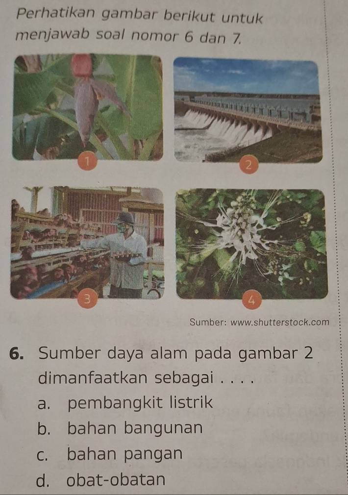 Perhatikan gambar berikut untuk
menjawab soal nomor 6 dan 7.
Sumber: www.shutterstock.com
6. Sumber daya alam pada gambar 2
dimanfaatkan sebagai . . . .
a. pembangkit listrik
b. bahan bangunan
c. bahan pangan
d. obat-obatan